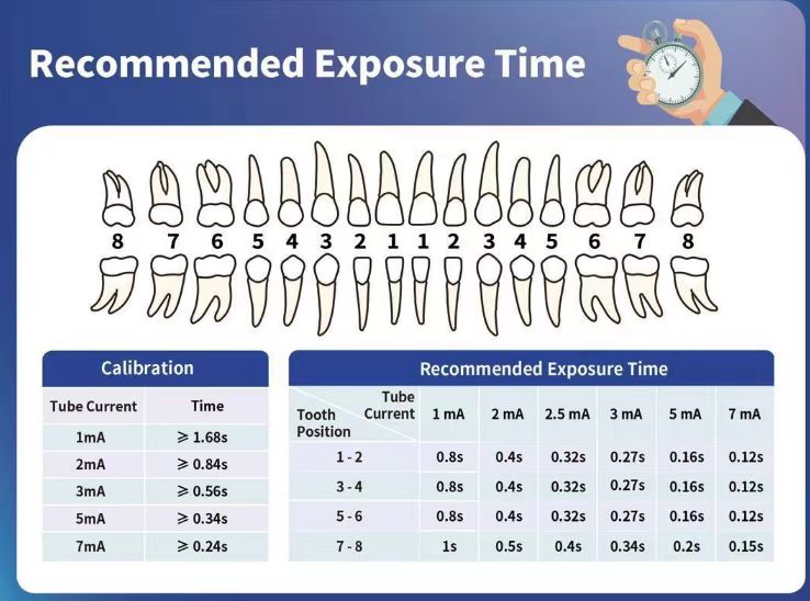 Recommended dental X-ray exposure time by tooth position and tube current