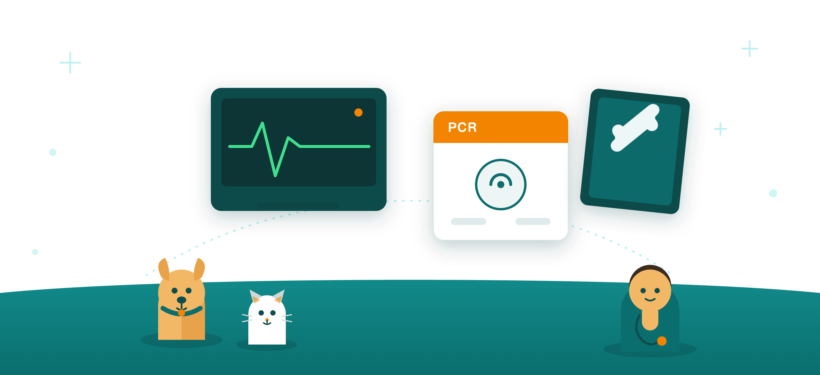 NX Medical Products: in-clinic diagnostics, imaging, monitoring and pet care